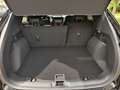 Ford Kuga Hybrid ST-Line-X 4WD  #360°#ACC#MATRIX #19" Schwarz - thumbnail 12
