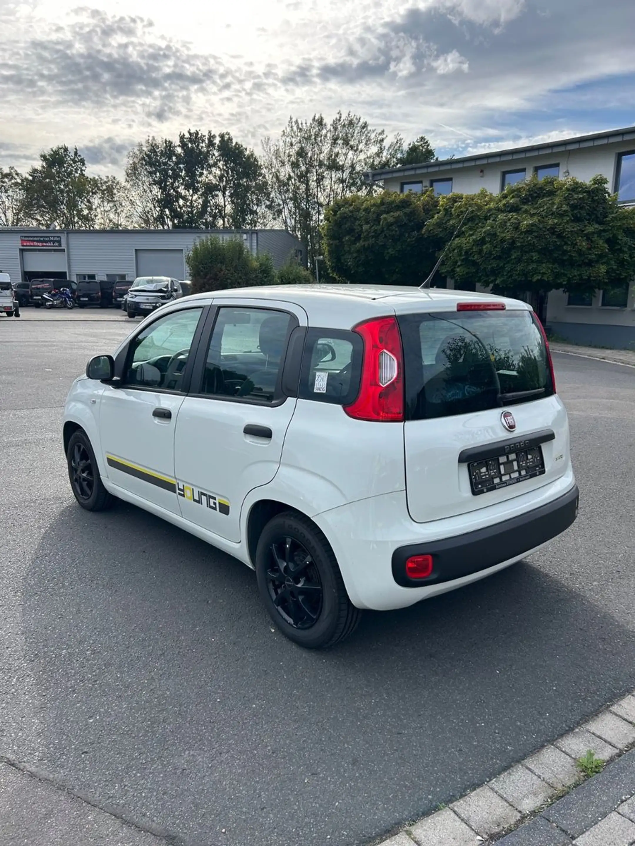 Fiat Panda Young *Familienbesitz*Klima*8-fach* — photo 3