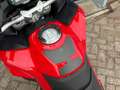 Ducati Multistrada 950 All-Road S|Keyless|Akrapovic|Luchtvering|Quick-shi Rood - thumbnail 16