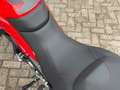 Ducati Multistrada 950 All-Road S|Keyless|Akrapovic|Luchtvering|Quick-shi Rood - thumbnail 17