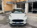 Ford Fiesta 1.5 TDCI 85 CV. ECOBLUE NAVI+CERCHI+BIXENO Grigio - thumbnail 1