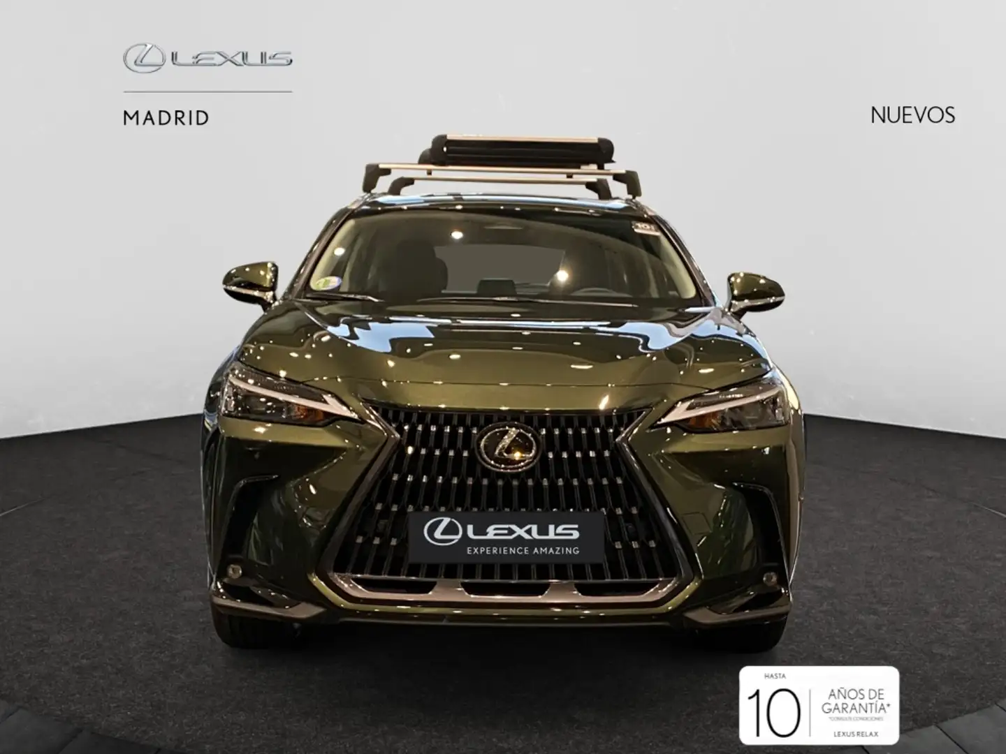 Lexus NX 350h Business City 2WD zelena - 1