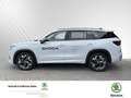 Skoda Kodiag 1.5 TSI iV Sportline Klima Navi Weiß - thumbnail 3