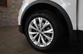 Volkswagen Tiguan 2.0 TDI 4 Motion Comfortline Blanc - thumbnail 19