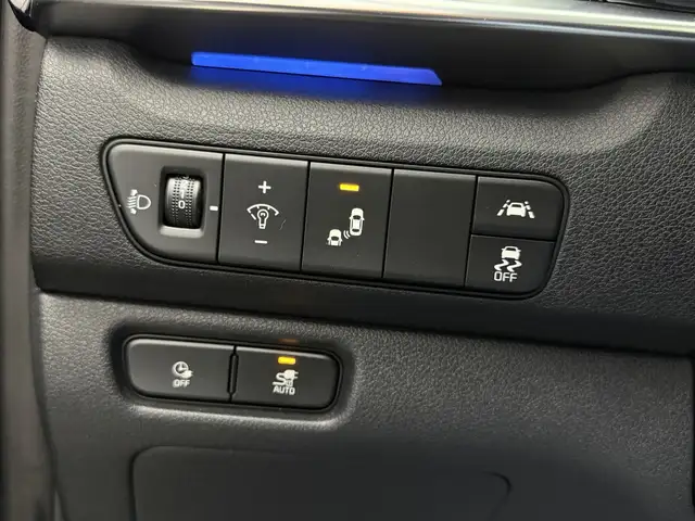 Kia E-Niro view 29