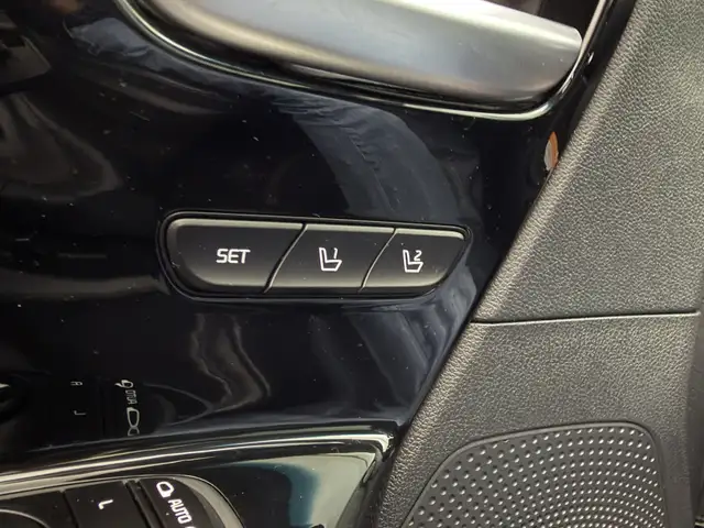 Kia E-Niro view 13