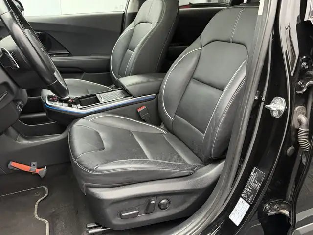 Kia E-Niro view 12