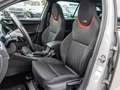 Skoda Octavia Combi RS TDI 4x4 PanoSD+Canton+Standhzg+AHK+Navi+K Grigio - thumbnail 10