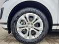 Land Rover Range Rover Evoque P300e AWD S Blanc - thumbnail 10