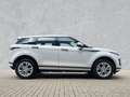 Land Rover Range Rover Evoque P300e AWD S Blanc - thumbnail 7