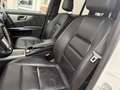 Mercedes-Benz GLK 220 CDI  +++ AMG +++ Weiß - thumbnail 7