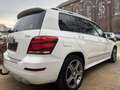 Mercedes-Benz GLK 220 CDI  +++ AMG +++ Weiß - thumbnail 5
