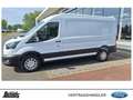 Ford Transit Transit 350 L3H2 Lkw VA Autm. Trend KLIMA ZV FH Blanc - thumbnail 12