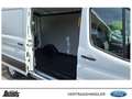Ford Transit Transit 350 L3H2 Lkw VA Autm. Trend KLIMA ZV FH Blanc - thumbnail 6