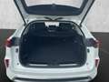 GWM WEY 05 Premium HUD ACC NAVI VOLL-LED 158km Reich Bianco - thumbnail 15