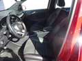 Mercedes-Benz B 220 B -Klasse B 220 CDI / d AMG Line Rouge - thumbnail 7