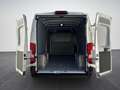Fiat Ducato 35 L3H2 140 Multijet Klima Einparkhilfe Weiß - thumbnail 8
