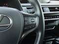 Lexus UX 250h 250h 2WD - E-CVT 250H Luxe Plus Vert - thumbnail 49