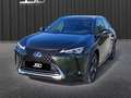 Lexus UX 250h 250h 2WD - E-CVT 250H Luxe Plus Vert - thumbnail 21