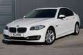 BMW 525 d LCI*Navi*Komfortsitze*Standheizung Weiß - thumbnail 2