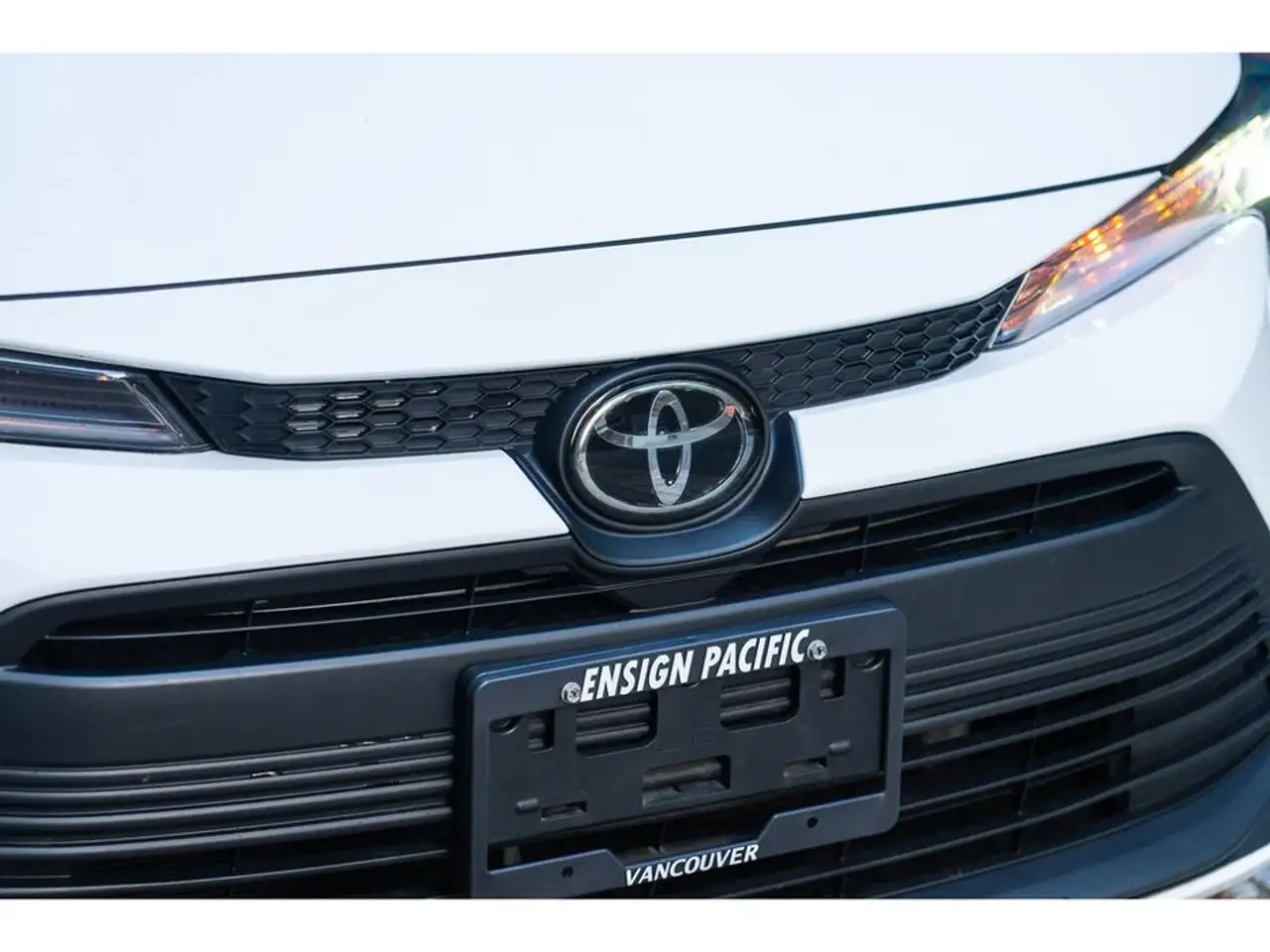 Toyota Corolla fotografie Toyota Corolla