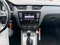 Skoda Octavia Combi 1.6 TDI Ambition Businessline DSG NAVI NAP!! Beige - thumbnail 9