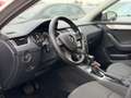 Skoda Octavia Combi 1.6 TDI Ambition Businessline DSG NAVI NAP!! Beige - thumbnail 22