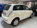 Lancia Ypsilon Ypsilon 1.2 8v Platino Bianco - thumbnail 4