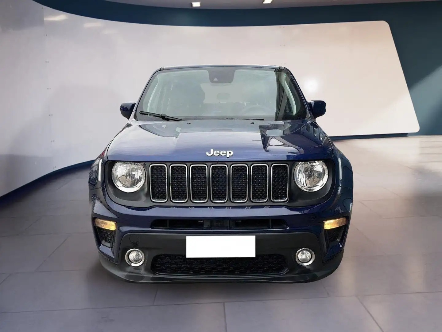 Jeep Renegade 2019 1.6 mjt Business 2wd 130cv Blu/Azzurro - 1