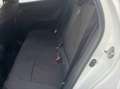 Toyota Yaris 120H 1.5 Business Plus Blanco - thumbnail 9