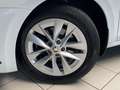 Skoda Octavia Combi Style 1.4 TSI Hybrid AHK Navi ACC Weiß - thumbnail 11