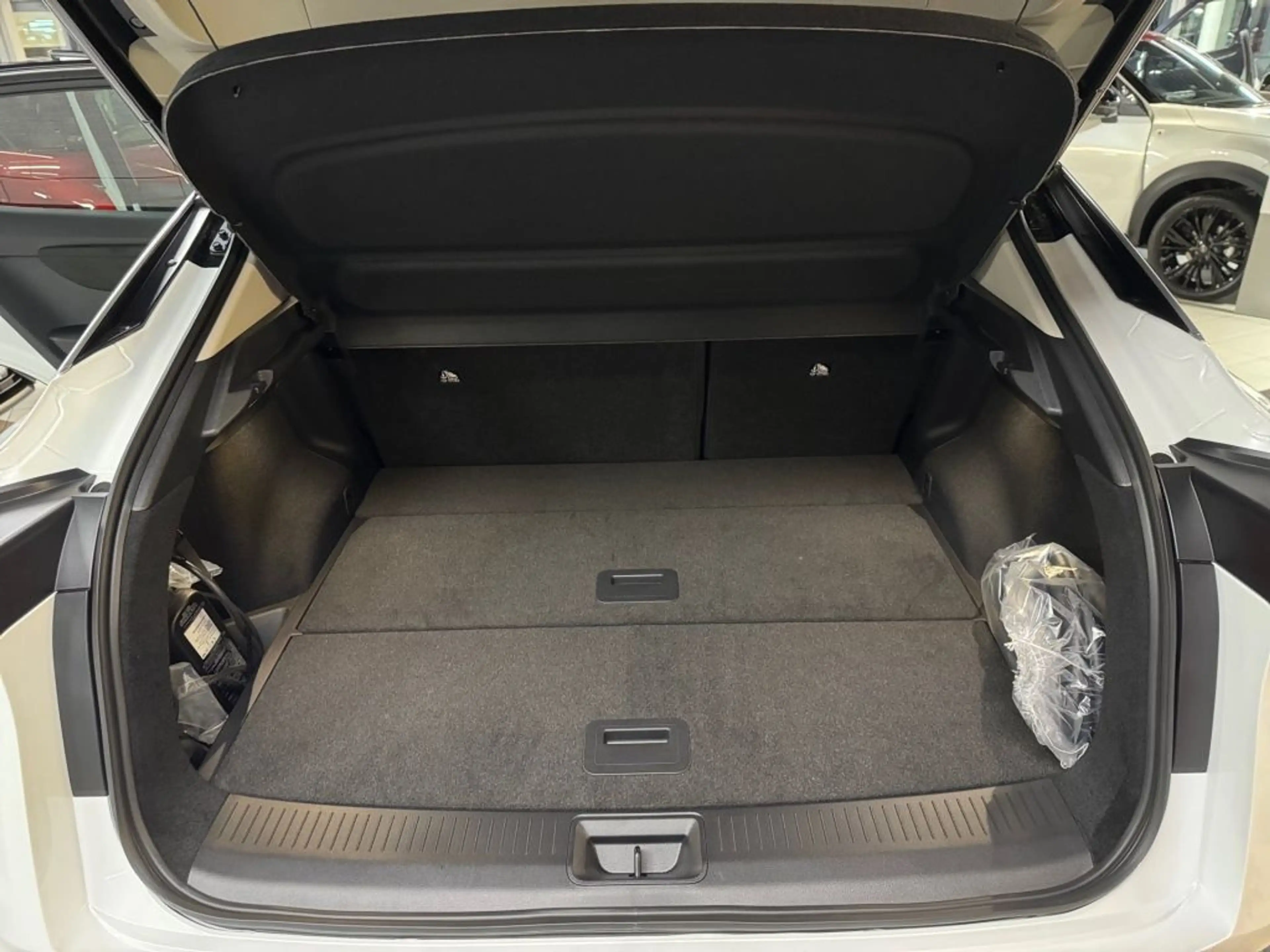 Nissan Ariya 87 kWh Evolve Pack — photo 12