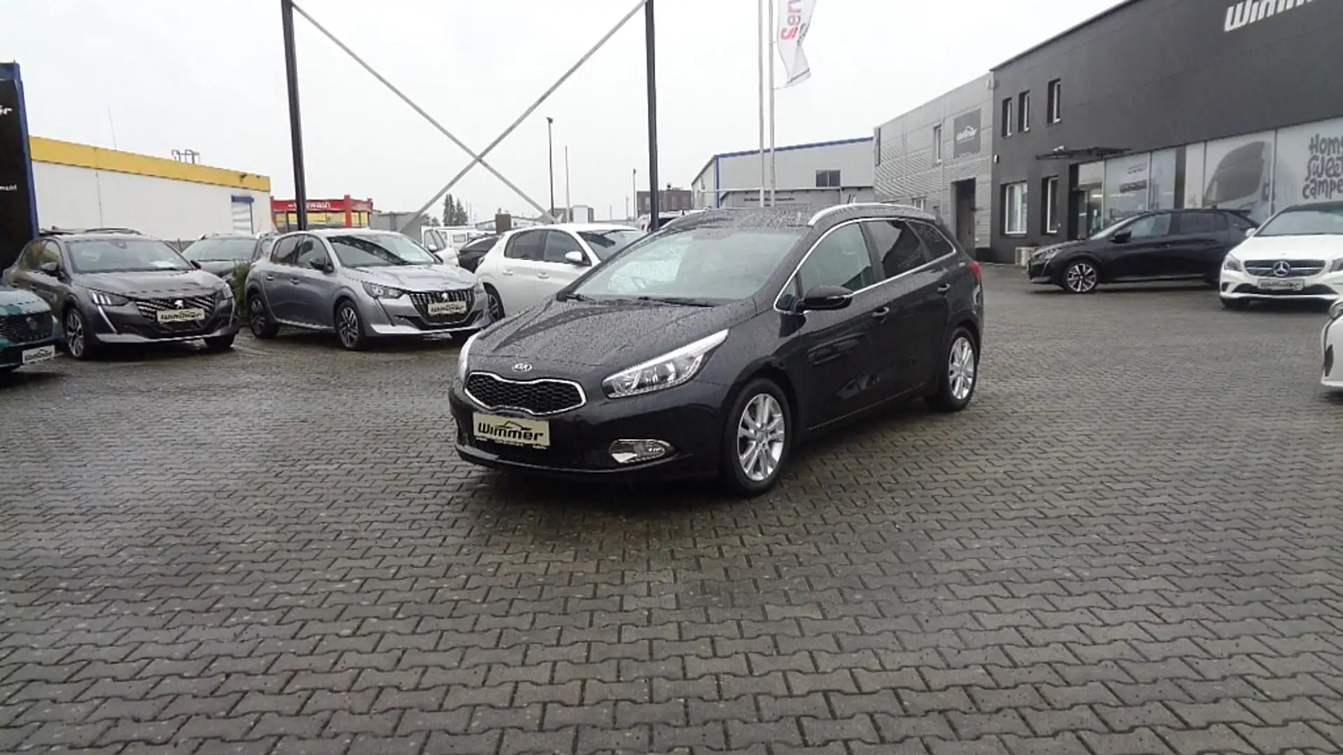 Kia Ceed SW / cee'd SW cee'd SW 1,6 CRDi ISG Gold Schwarz - 2