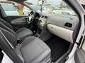Volkswagen Polo Polo 2015 5p 1.2 tsi Vers. Fresh Weiß - thumbnail 12