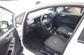 Ford Fiesta 1.0 EcoBoost Active X "Facelift", AHK,LED Weiß - thumbnail 7