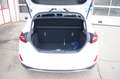 Ford Fiesta 1.0 EcoBoost Active X "Facelift", AHK,LED Weiß - thumbnail 12