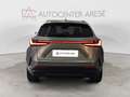 Lexus NX 300 350h 2.5 Premium 4wd 244cv e-cvt Azul - thumbnail 4