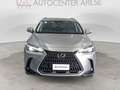 Lexus NX 300 350h 2.5 Premium 4wd 244cv e-cvt Azul - thumbnail 8