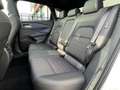 Nissan Qashqai 1.3 MHEV 158 Business Premium Auto Pilot| Navigati Wit - thumbnail 8