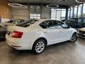 Skoda Octavia Lim. Active *1. Hand*LED*Klima*PDC*TÜV* Weiß - thumbnail 49