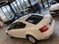 Skoda Octavia Lim. Active *1. Hand*LED*Klima*PDC*TÜV* Weiß - thumbnail 25