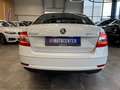 Skoda Octavia Lim. Active *1. Hand*LED*Klima*PDC*TÜV* Weiß - thumbnail 5