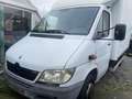 Mercedes-Benz Sprinter 413 CDI 2.1 Blanc - thumbnail 2