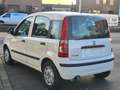 Fiat Panda 1.2 8V MyLive *KLIMA* 86.TKM* TÜV 03/2025* White - thumbnail 3
