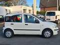 Fiat Panda 1.2 8V MyLive *KLIMA* 86.TKM* TÜV 03/2025* White - thumbnail 5