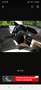Mercedes-Benz E 500 4Matic 7G-TRONIC Avantgarde - thumbnail 6