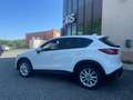 Mazda CX-5 2.2 Exceed 4wd 175cv Bianco - thumbnail 5