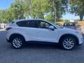 Mazda CX-5 2.2 Exceed 4wd 175cv Bianco - thumbnail 8