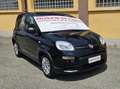 Fiat Panda 1.0 70 CV FIREFLY SES HYBRID -KM. 5.000 - 5 POSTI Noir - thumbnail 2