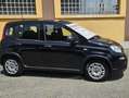 Fiat Panda 1.0 70 CV FIREFLY SES HYBRID -KM. 5.000 - 5 POSTI Noir - thumbnail 4